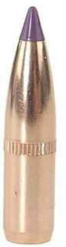 <span style="font-weight:bolder; ">Nosler</span> 6mm / 243 Caliber 90 Grains Spitzer Ballistic Tip Bullets (Per 50) 24090