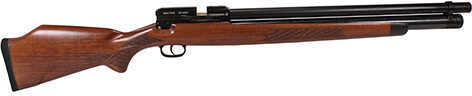Winchester BigBore Model 70 .45 Caliber Air Rifle