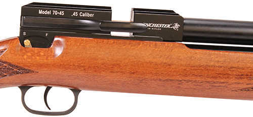 Winchester BigBore Model 70 .45 Caliber Air Rifle