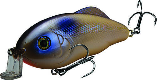 King Hybrid Hunter Shal Oyster Model: Hchhjrs-584