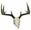 Hunters Specialties Mount Kit Full Skull Deer Walnut Model: 01638-img-0