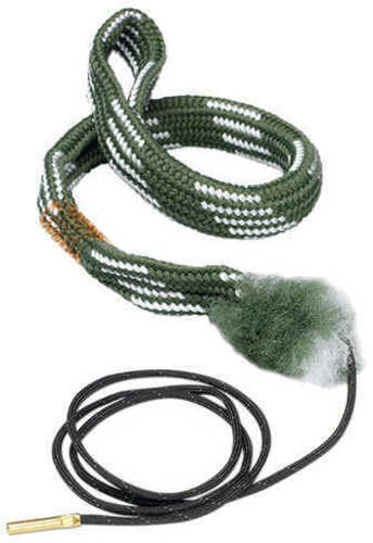 Shotgun Boresnake With Den