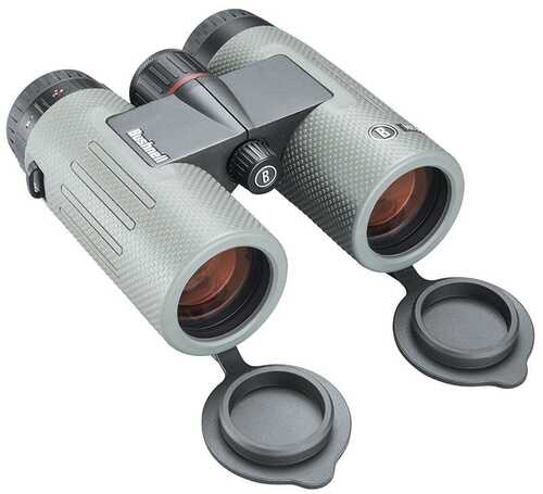 Bushnell Nitro Binocular - 10x36mm Roof Prism Gun Metal Gray