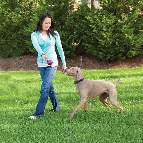 PetSafe Free To Roam Wireless Fence