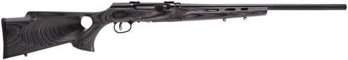 Savage Arms A17 Sporter Rifle 17 WSM 22" Barrel 8Rd Black Finish