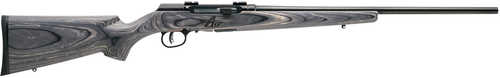 Savage Arms A17 Sporter Rifle 17 WSM 22" Barrel 8Rd Black Finish