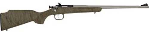 Crickett G2 Rifle 22 Long Rifle 16.12" Barrel 1Rd Stainless Steel Finish