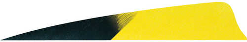 Gateway Shield Cut Feathers Kuru Flo Yellow 4 in. RW 50 pk.