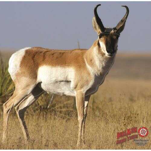 DuraMesh Archery Targets Antelope 25 in. x 32 Model: DM201