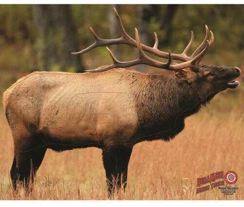 DuraMesh Archery Targets Elk 1 25 in. x 32 Model: DM206