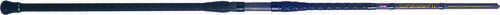 Battalion Ii Surf Rod Spinning 10ft 15-30# 2pc Model: Batsfii1530s10