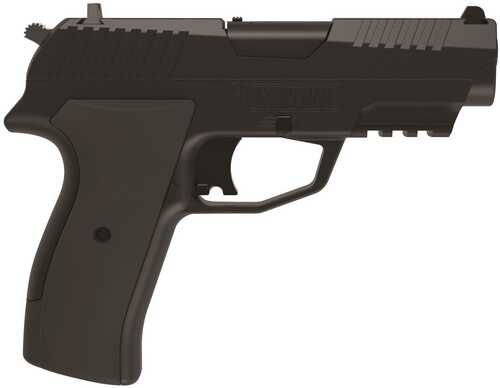 Crosman Iceman CO2 BB/Pellet Pistol