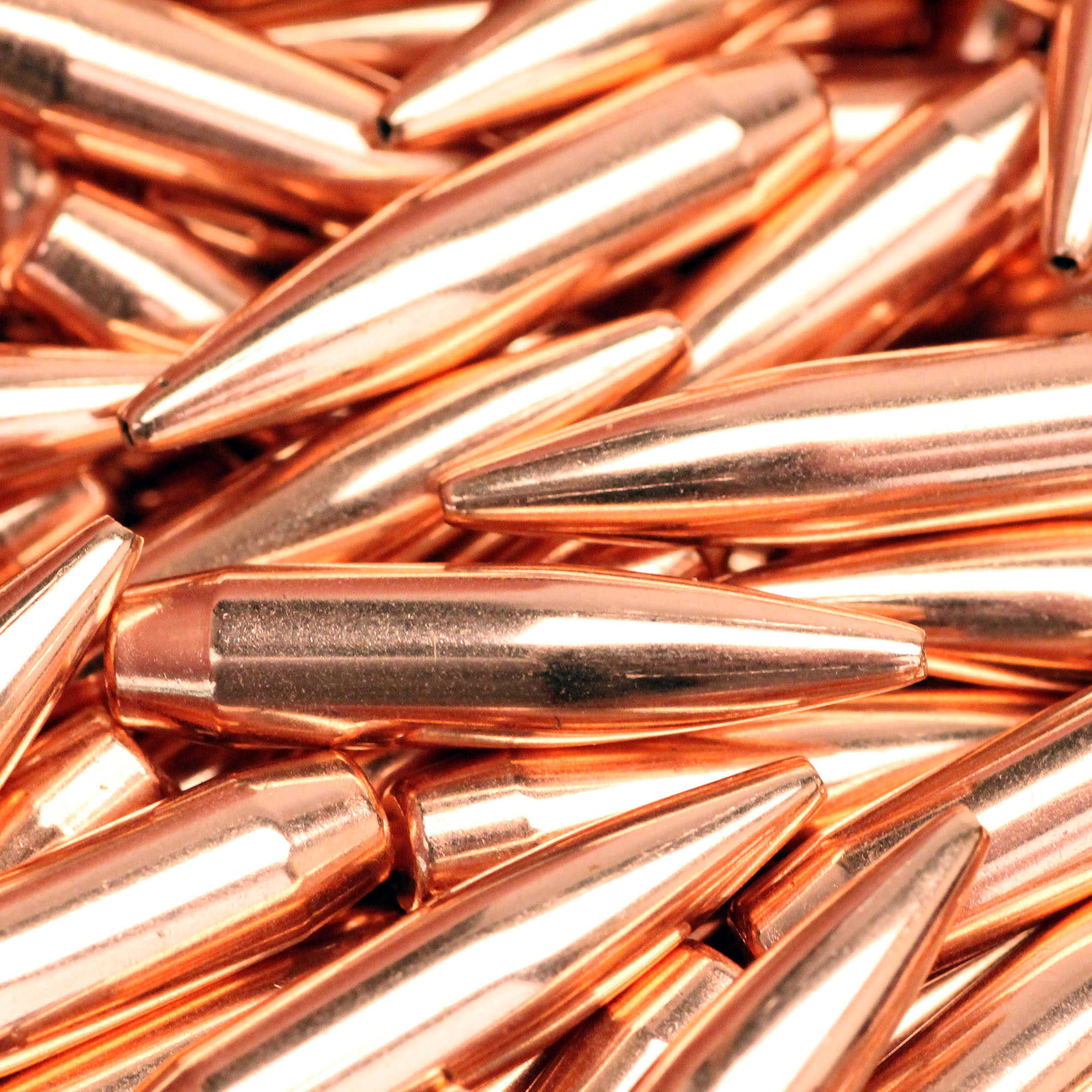 Albums 101+ Pictures How Dangerous Is A 22 Caliber Bullet Completed