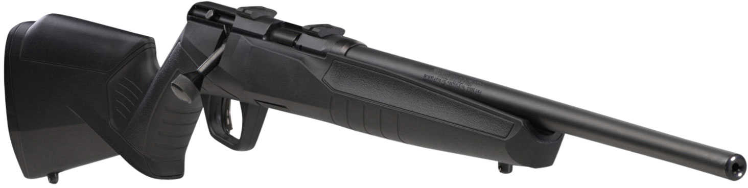 Savage B17 Compact Rifle 17 HMR 18" Barrel 10 Rounds Matte Black Synthetic Stock Blued Finish