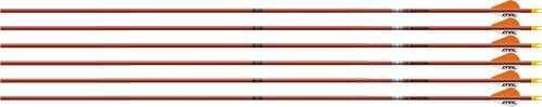 EASTON Arrow FMJ 5MM 340 W/ 2" Bully VANES 6-Pack Autumn ORG