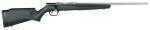 Savage Arms B17 FV Stainless Steel Rifle 17 HMR 21" Barrel Synthetic Stock With 10 Round Rotary Mag