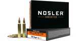 Nosler 204 Ruger 40 Grain Ballistic Tip, 20 Rounds Ammunition