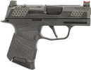 Wilson Combat P365 Pistol 9mm Luger 3.1" Barrel 10Rd Black Finish