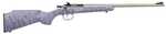 Keystone Sporting Arms Crickett Rifle 22 Long Rifle 16.12" Barrel 1Rd Stainless Finish