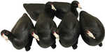 MOJO Coot Confidence Decoys 6 pk.