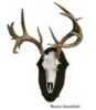 Mountain Mikes Reproductions Black Forest Deer Plaque Kit 49596