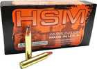 350 Legend 20 Rounds Ammunition HSM 170 Grain SPIRE POINT